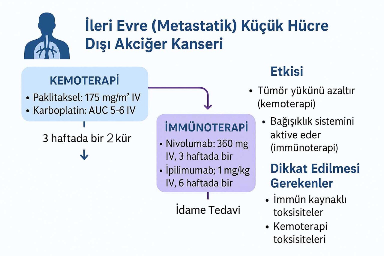akciger kanserinde paklitaksel karboplatin ipilimumab ve nivolumab tedavi protokolu 298894