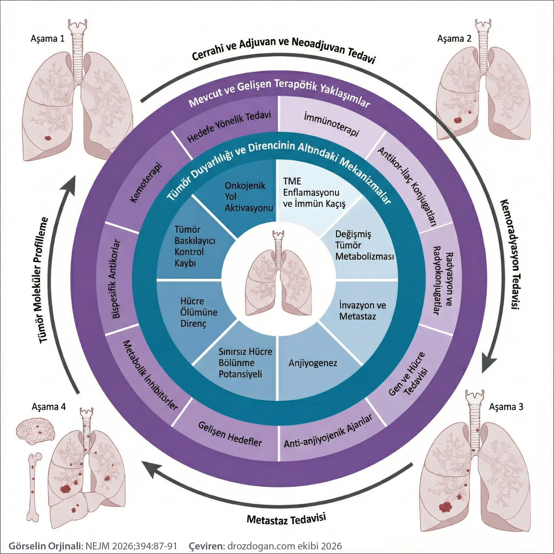 akciger kanserinin temel ozellikleri nejm 29 aralik 2025 mustafa ozdogan 17676
