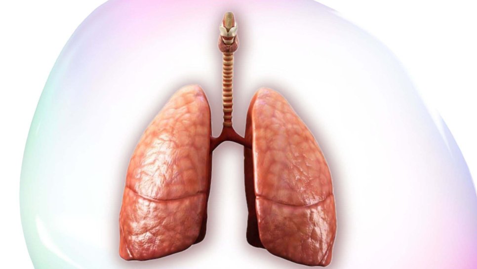 Lungentransplantation 1963 – Behandlung von Lungenerkrankungen