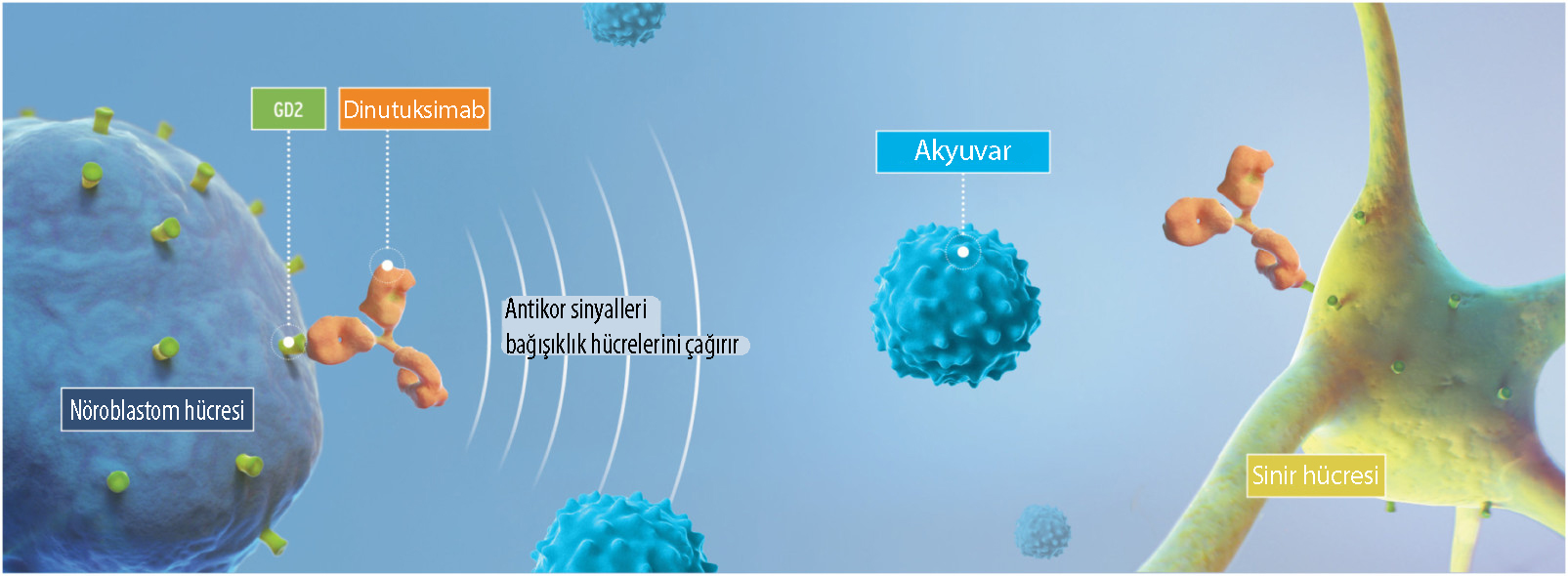 alice yu dinutuksimab unituxin etki mekanizmasi noroblasyom 125342