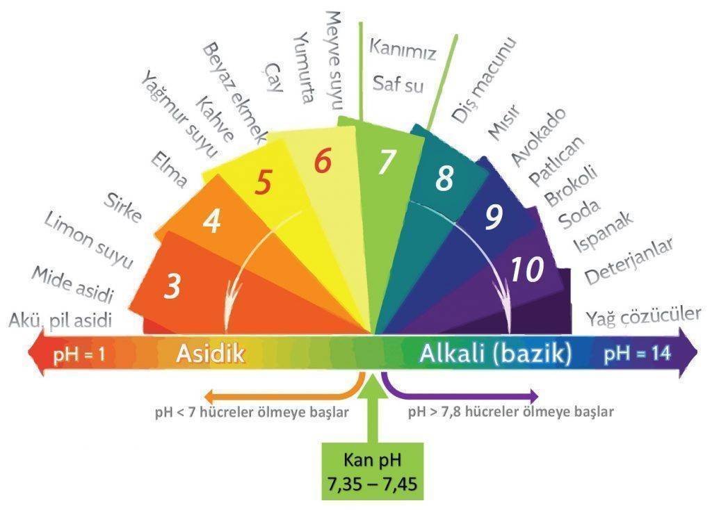 Alkaline diet, acids and bases, pH spectrum, alkaline foods and cancer treatment, 1024x734