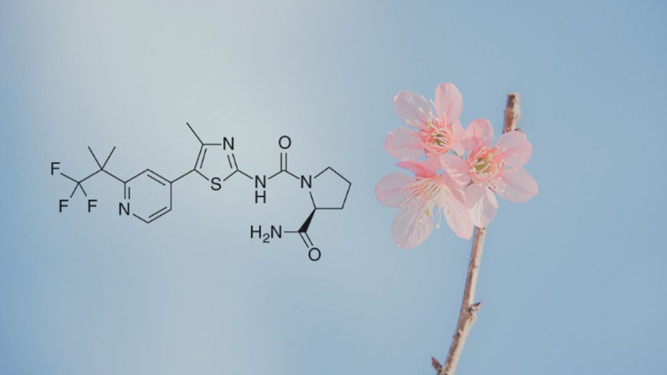 Alpelisib (Piqray, Pimreva) FDA Onay Geçmişi