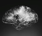 Alzheimer riskini azaltan sağlıklı yaşam alışkanlıkları nelerdir?