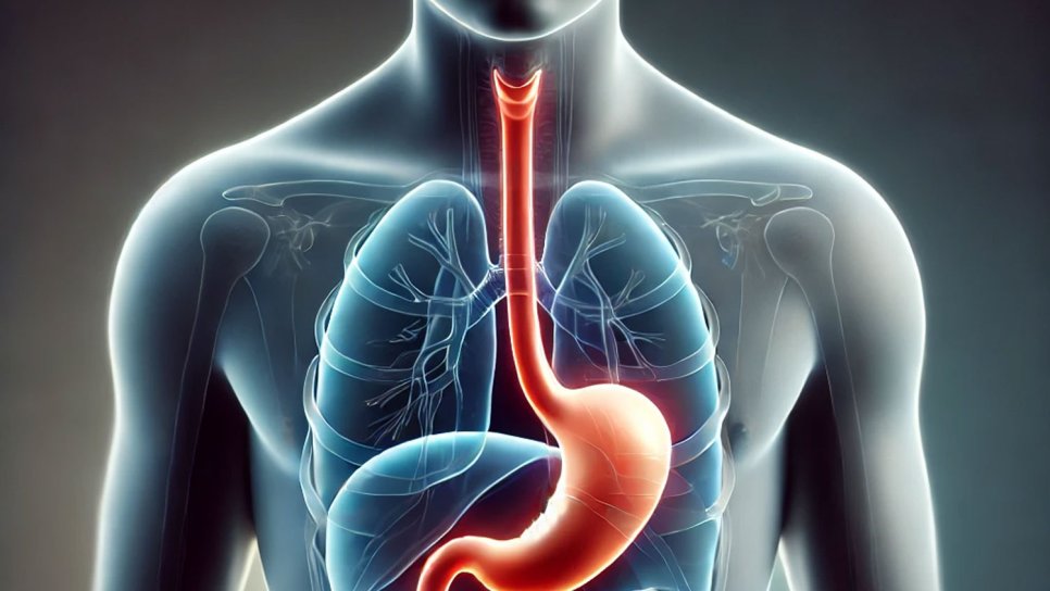 Chimioterapie sau chimioradioterapie în cancerul esofagian operabil?