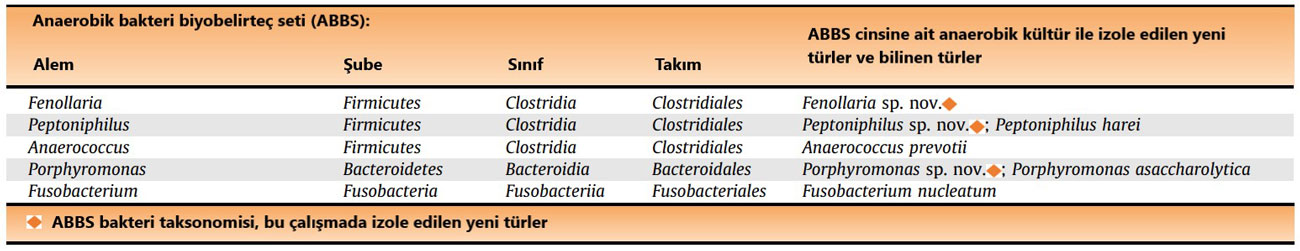 anaerobik bakteri biyobelirtec seti abbs prostat kanseri kotu prognozla iliskili bakteriler 986986