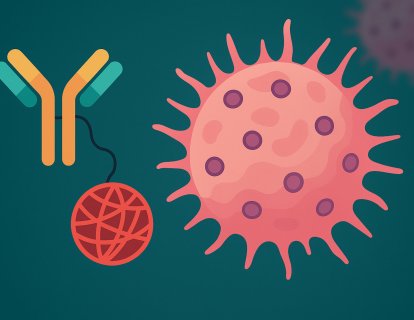 Antikor-İlaç Konjugatı (ADC) Nedir? Mekanizma, FDA Onaylı İlaçlar ve Hastalar İçin Anlamı