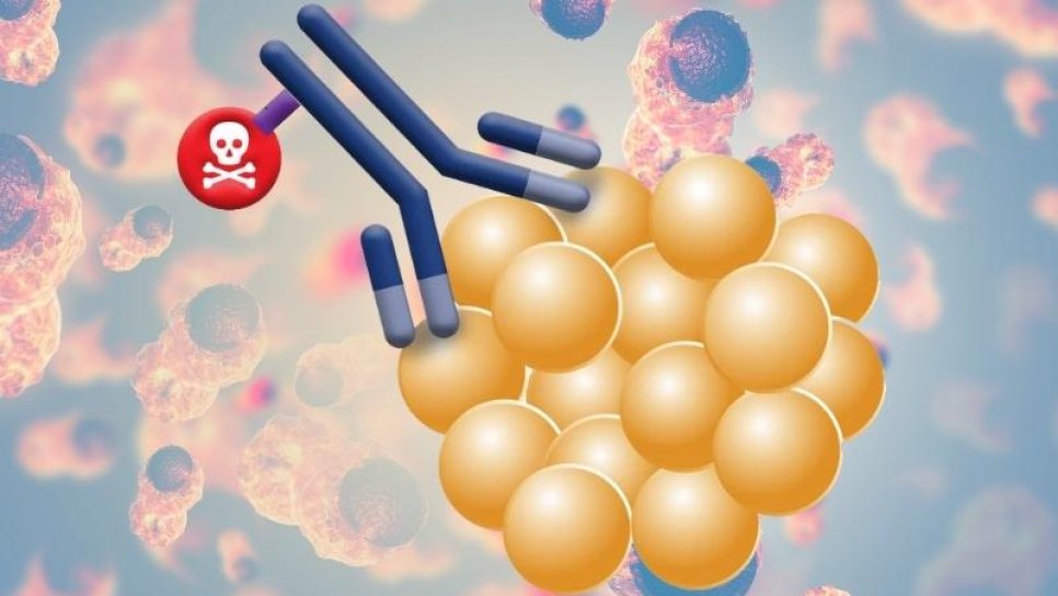 Antikor-İlaç Konjugatı Yapısında Yeni İlaçlar, İleri Evre Kanserler için Geliyor