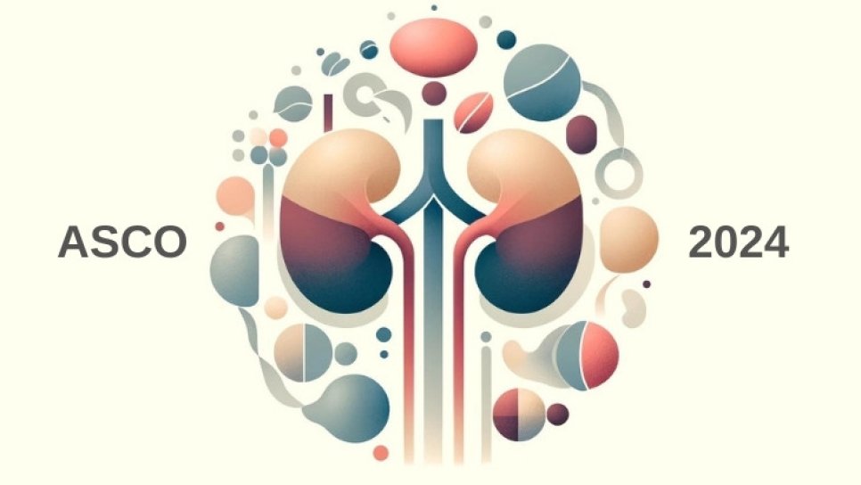 ASCO 2024؛ پیشرفتهای مهم در سرطانهای ادراریتناسلی