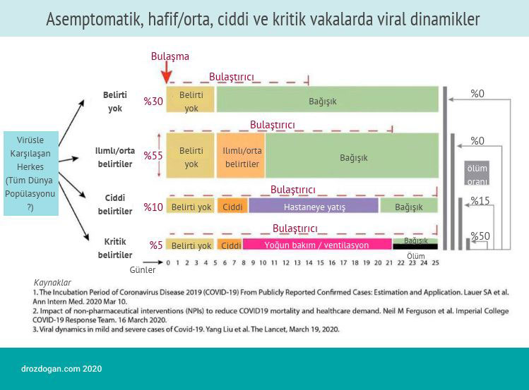 Virale Dynamik bei asymptomatischen, leichten, mittelschweren, schweren und kritischen Fällen