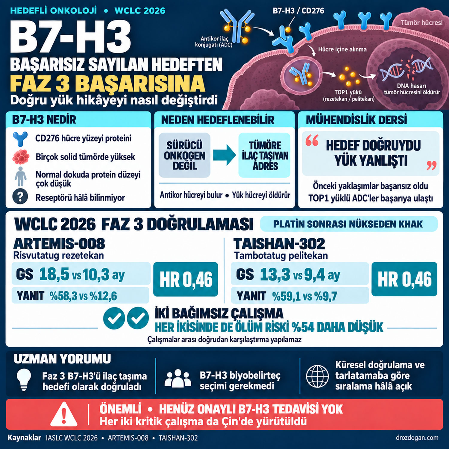 b7 h3 basarisiz sayilan hedeften faz 3 basarisina kucuk hucreli akciger kanserinde yeni donem 14347
