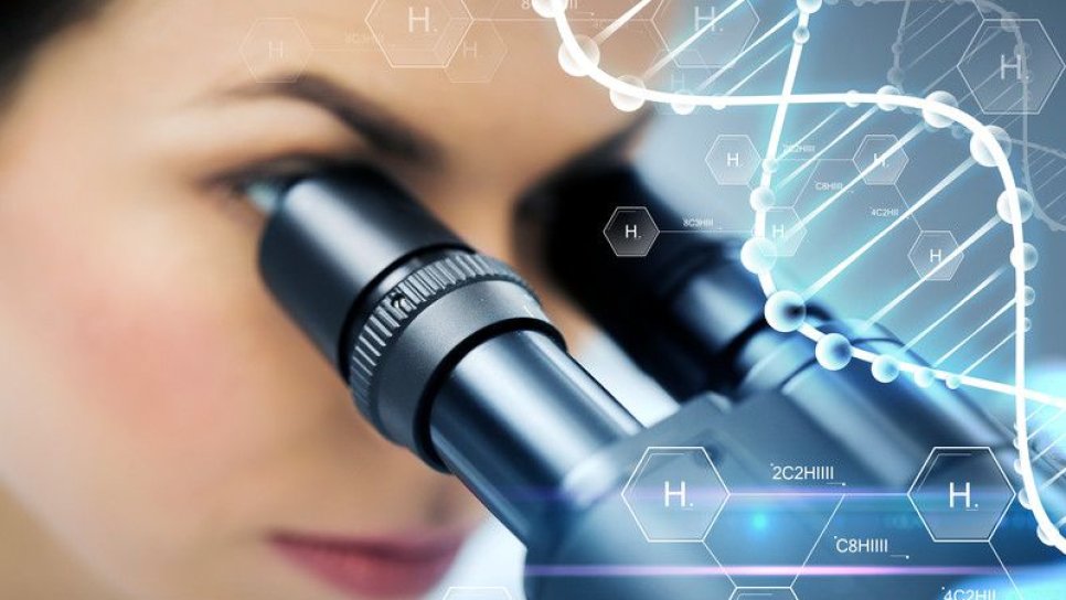 Bağışıklık sistemimizde hafıza B hücrelerine ev sahipliği yapan yeni bir mikro organ keşfedildi
