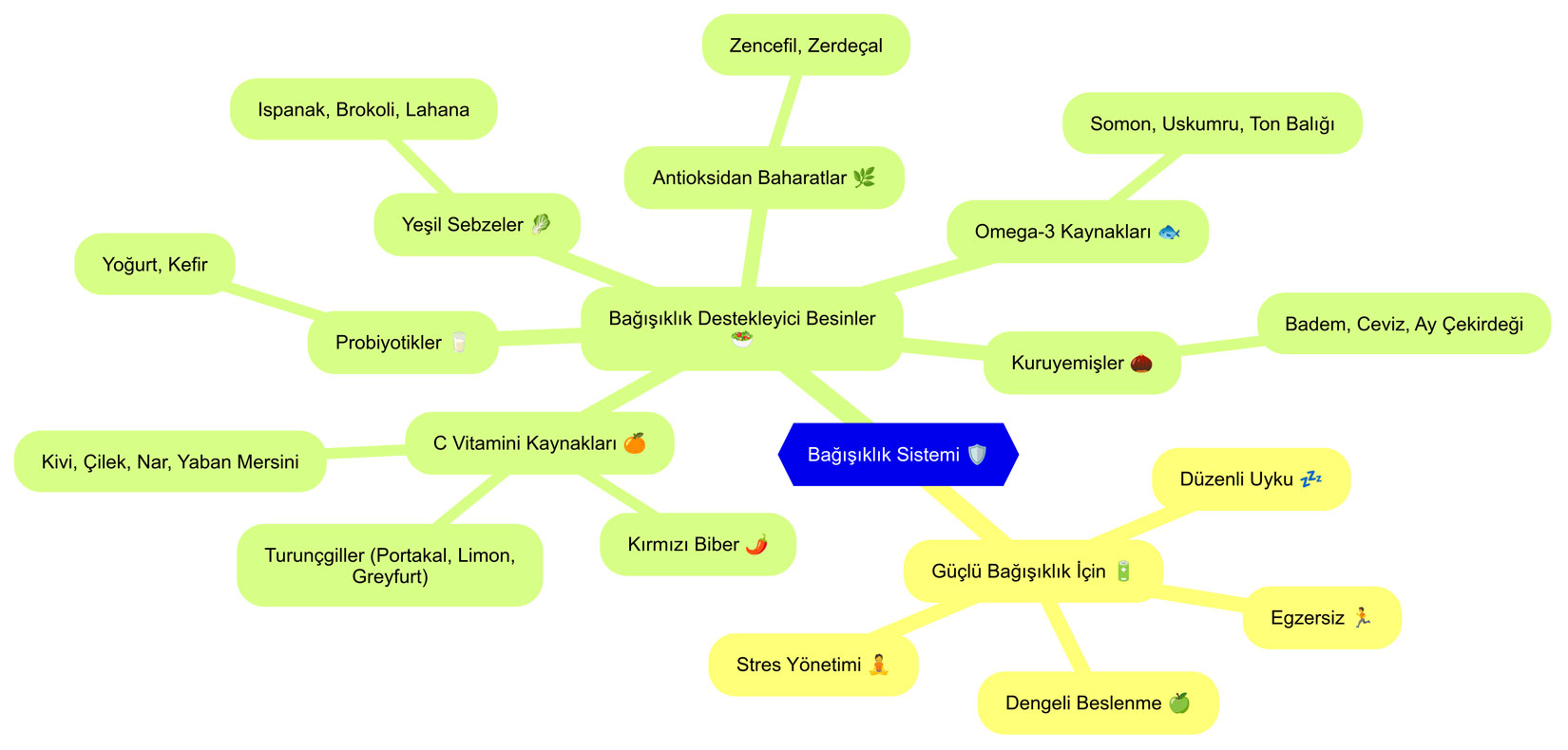 bagisiklik sistemini guclendirme yollari 212466