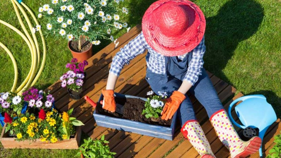 Bahçe İşleri, Kanser Riskini Azaltmaya ve Zihinsel Sağlığı Artırmaya Yardımcı Olabilir