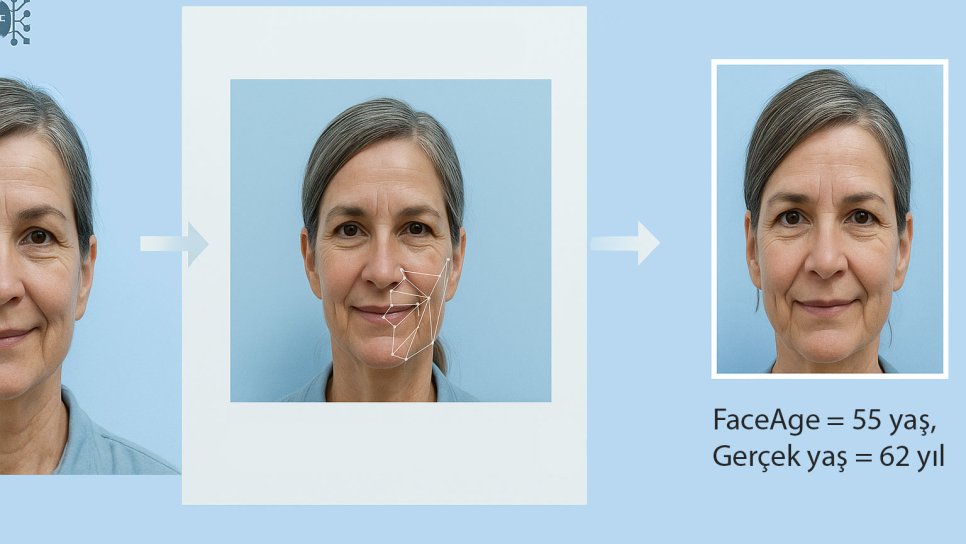 Basit Bir Fotoğraf, Kanserde Sağkalım Oranını Tahmin Etmeye Yardımcı Olabilir mi? FaceAge Yapay Zekası