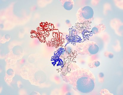 Bavencio (avelumab) FDA Onay Geçmişi