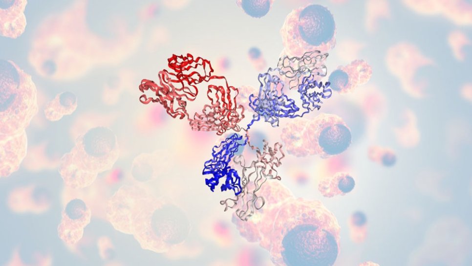 Bavencio (avelumab) FDA Onay Geçmişi