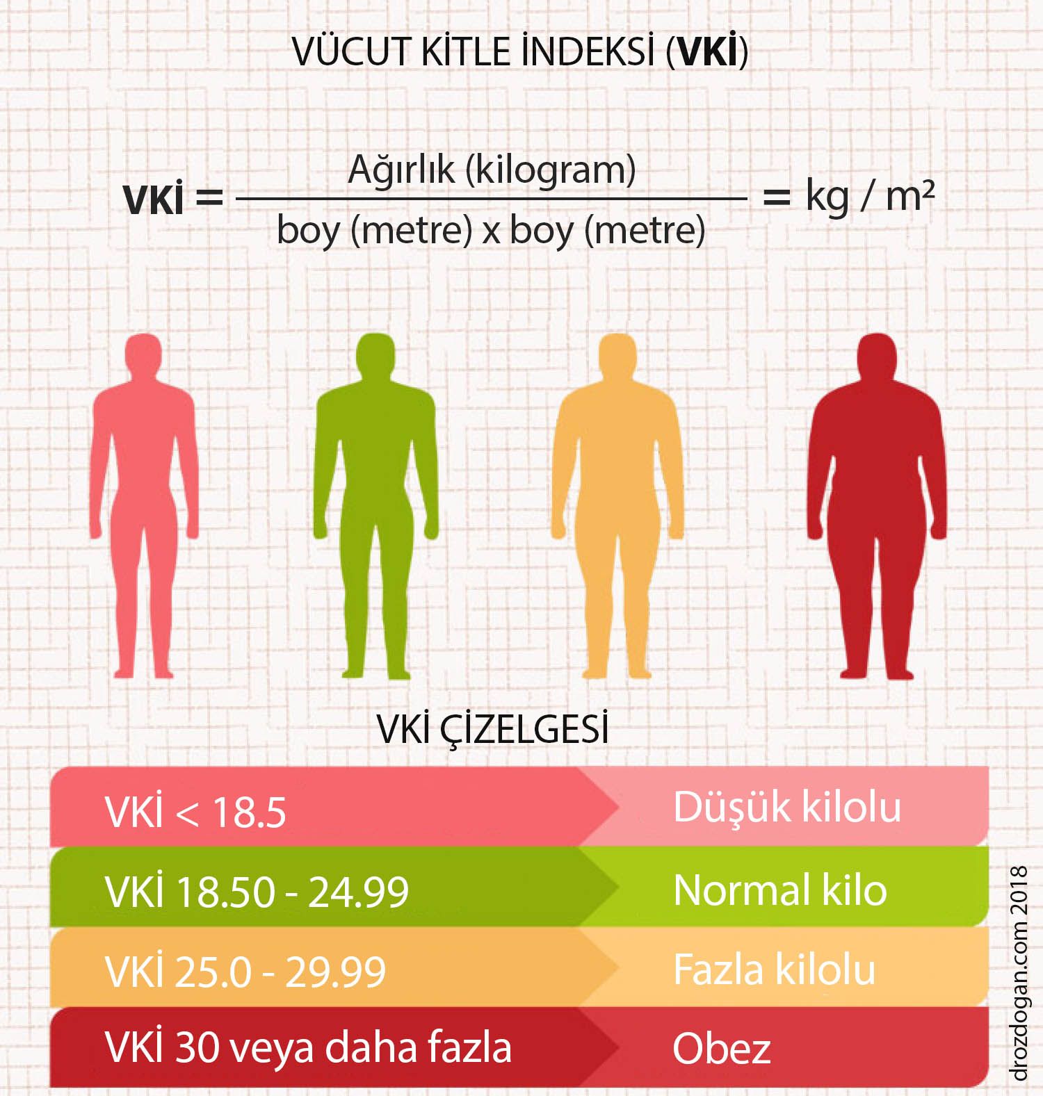 beden vucut kitle indeksi bki vki 243269