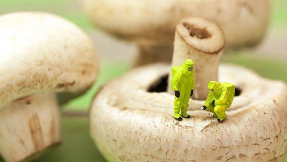Beslenmeye-farklı-bakış-DNA-tabanlı-diyetler-Nutrigenomik