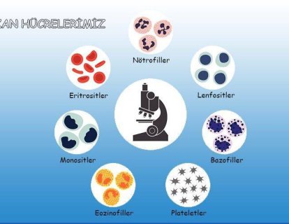 Inotuzumab Ozogamicin, Akut Lenfoblastik Lösemi ALL Tedavisinde FDA Onayı Aldı