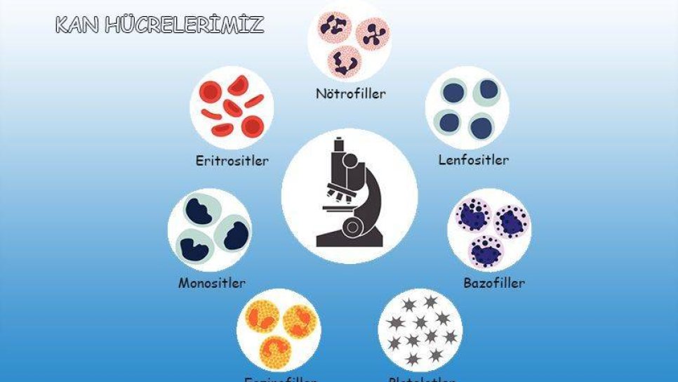 Inotuzumab Ozogamicin, Akut Lenfoblastik Lösemi ALL Tedavisinde FDA Onayı Aldı