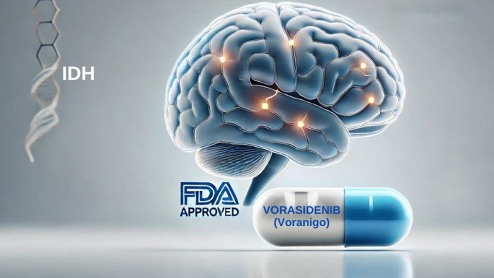 FDA Approves the First Targeted Therapy for Glioma Brain Tumors: Vorasidenib
