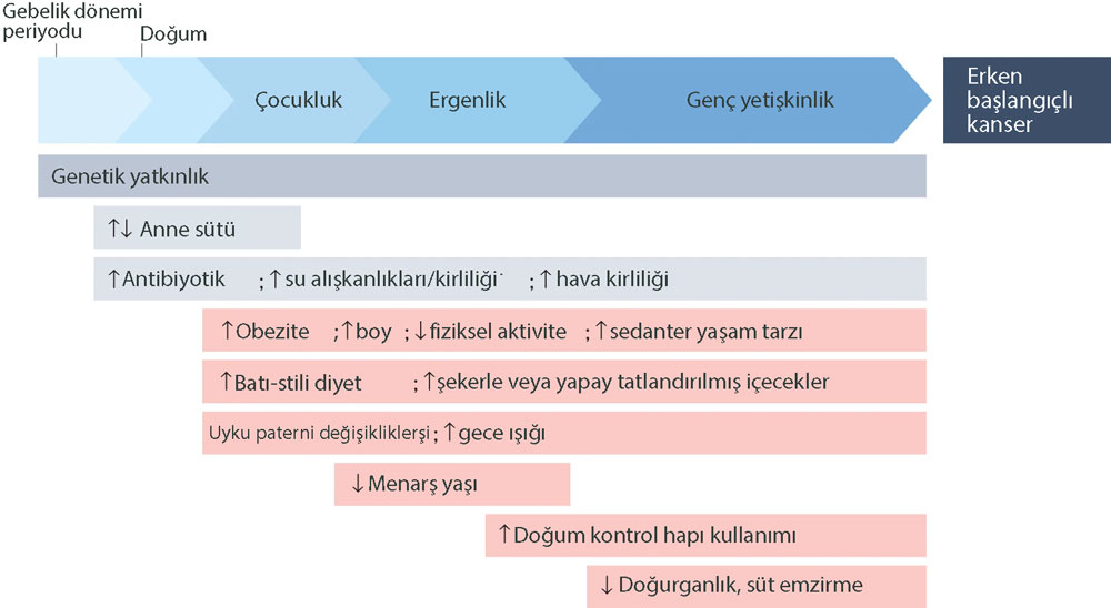 bir birey yasami boyunca cesitli kanser etkenleri ile karsilasacaktir bunlar erken baslangicli kans
