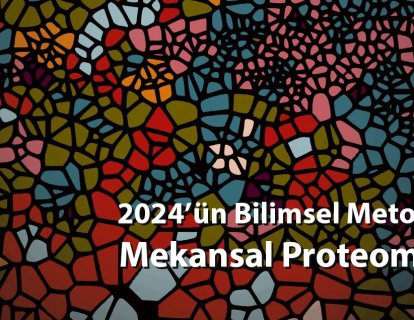Bilimde Devrim – 2024'ün Yöntemi Seçilen Mekansal Proteomik ve Ali Ertürk'ün Katkıları