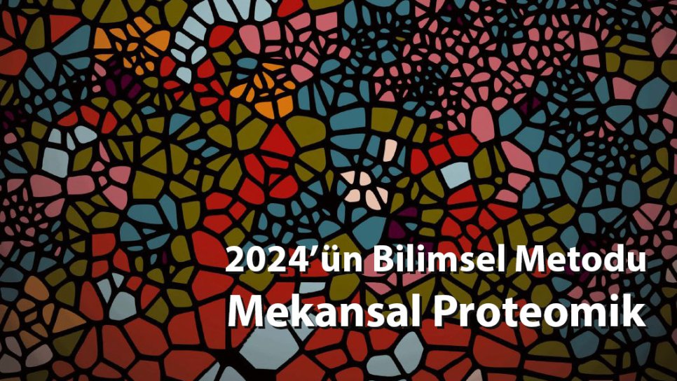 Bilimde Devrim – 2024'ün Yöntemi Seçilen Mekansal Proteomik ve Ali Ertürk'ün Katkıları
