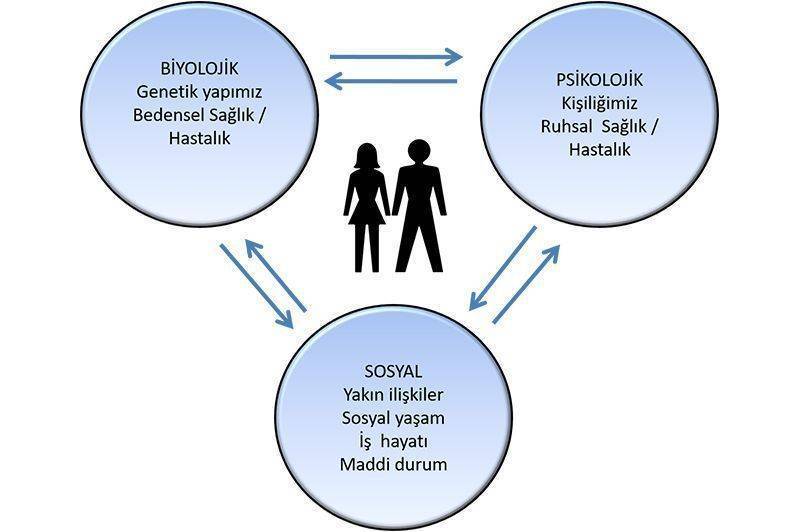 biyopsikososyal yaklasim psiko onkoloji kanser psikolojisi kanser hastasina butuncul yaklasim 27539