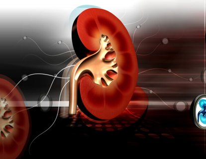 Böbrek kanseri birinci basamak tedavide pembrolizumab artı lenvatinib FDA onayı aldı