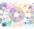 BRAF-Mutant Melanomda Dirence Karşı Yeni Bir Hedef: BCL2 Ailesi