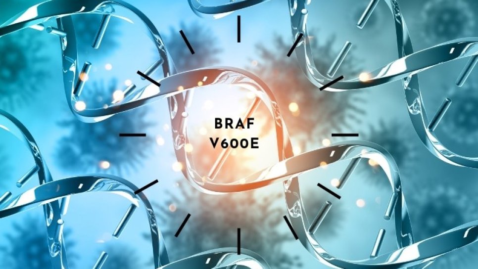Dabrafenib-Trametinib erhält FDA-Zulassung für Krebserkrankungen mit BRAF-Mutation