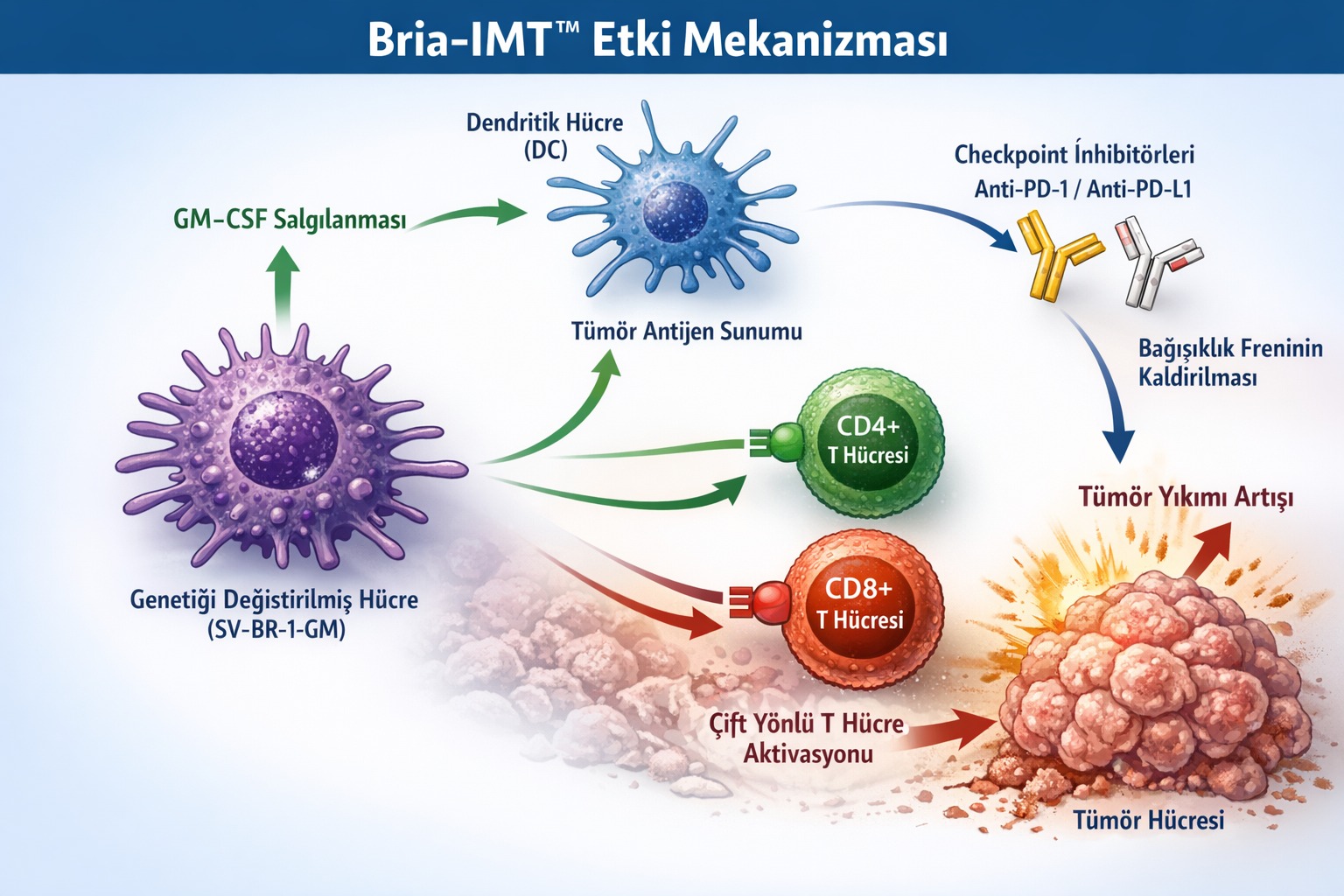 آلية Bria MT