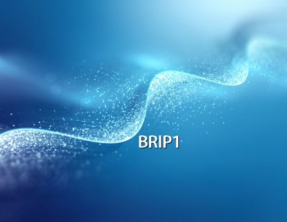 BRIP1 gen mutasyonu nedir? Bilinmesi gerekenler