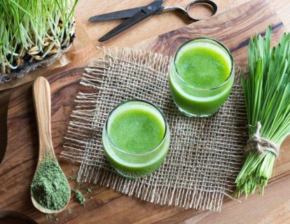 Buğday çimi suyu nedir? Çim suyunun sağlık faydası var mı?