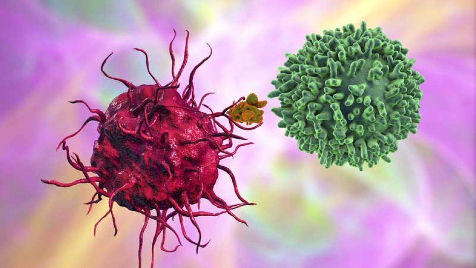 Büyük B-hücreli lenfoma için yeni bir CAR T-hücre tedavisi FDA onayı aldı
