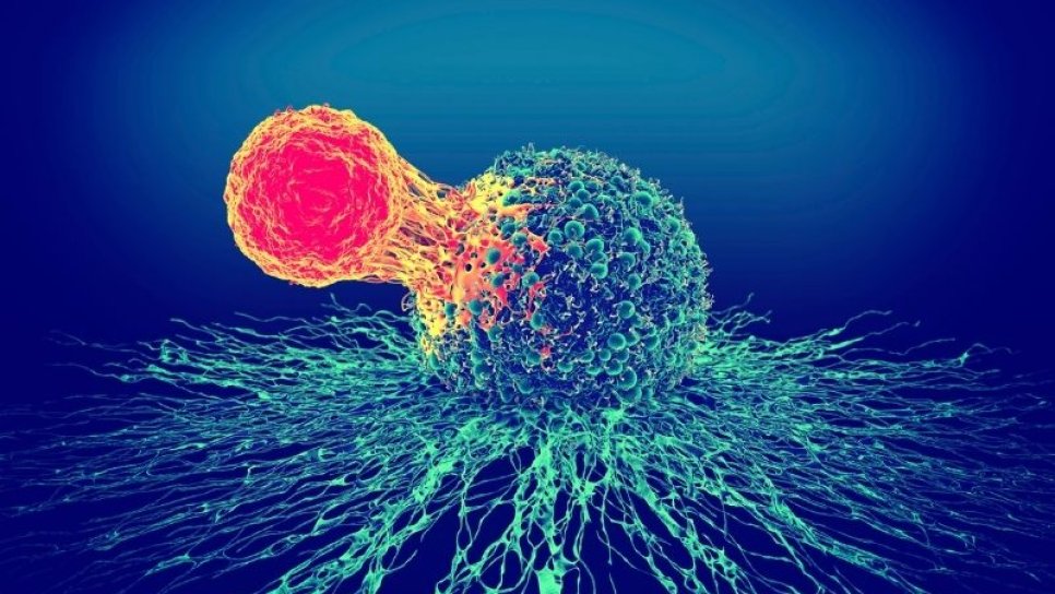 Büyük B Hücreli Lenfoma İkinci Basamak Tedavisi için Breyanzi FDA Onayı Aldı