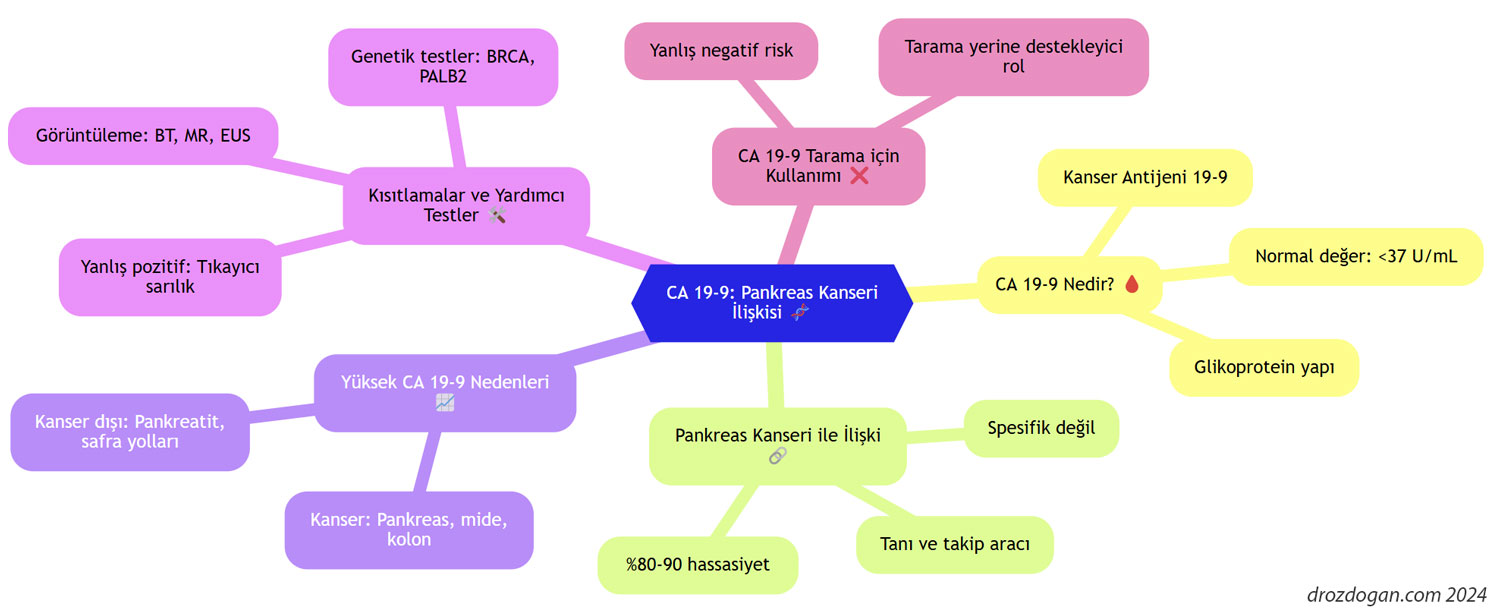 ca 19 9 pankreas kanseri iliskisi infogram zihin haritasi 542804