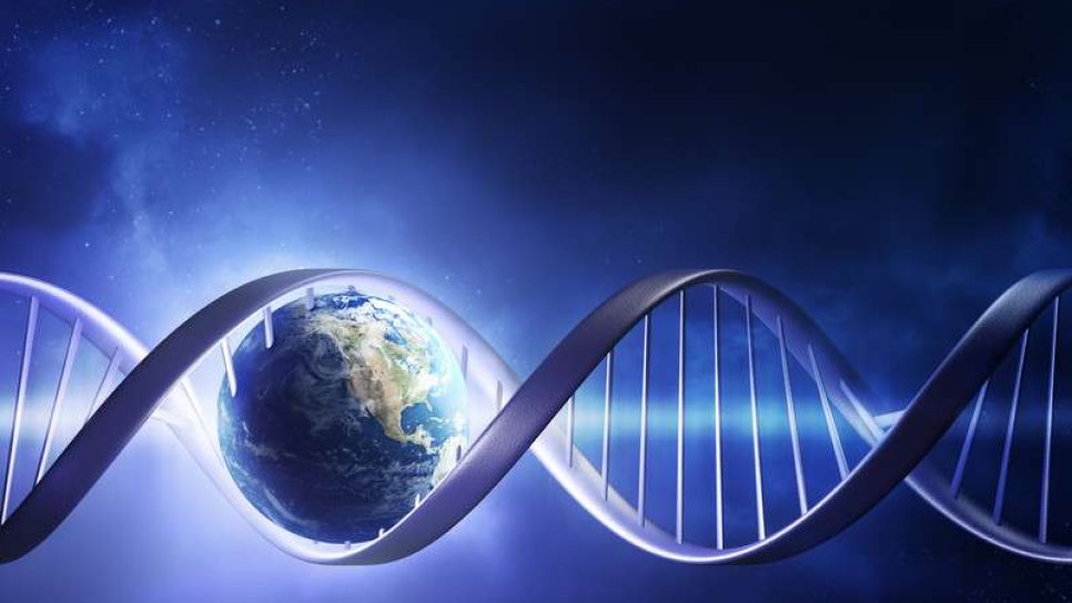 Cancer Biotechnology Symposium ICONS 18-22 November 2020 Antalya