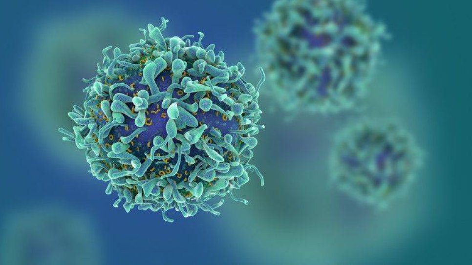 Canlı Kanser İlacı, CRISPR ve Elektrik Şoku ile Daha Hassas ve Güvenli
