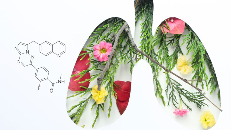 Was ist Capmatinib (Tabrecta)? Geschichte der FDA-Zulassungen