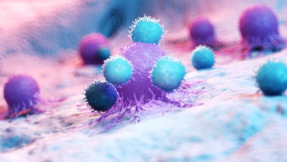 CAR NK: A New Era in Cancer Treatment with Natural Killer Immune Cells