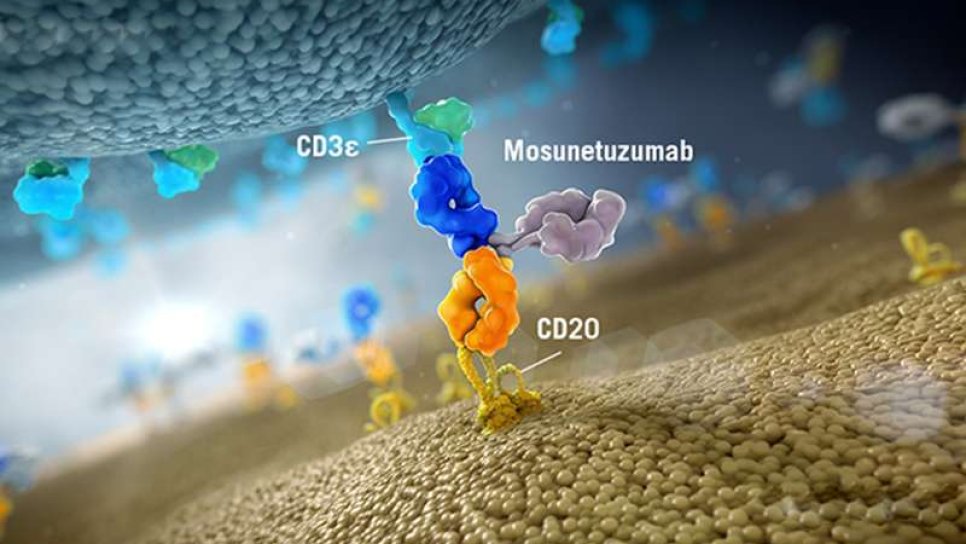 car-t-hucre-tedavisinden-sonraki-buyuk-gelisme-bispesifik-antikor-mosunetuzumab-olabilir