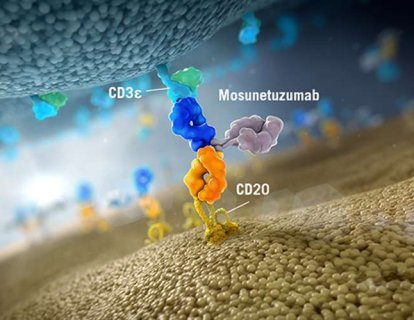 CAR T Hücre Tedavisinden Sonraki Büyük Gelişme Bispesifik Antikor Mosunetuzumab Olabilir
