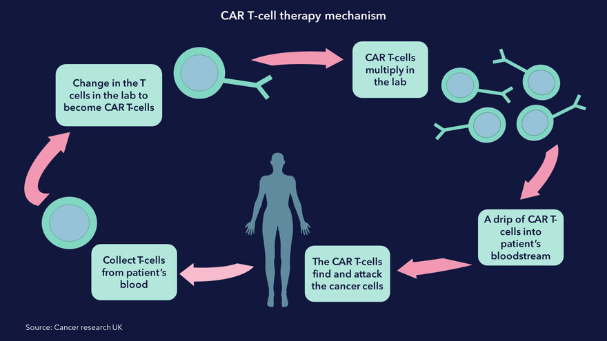 Wirkmechanismus der CAR-T-Zelltherapie