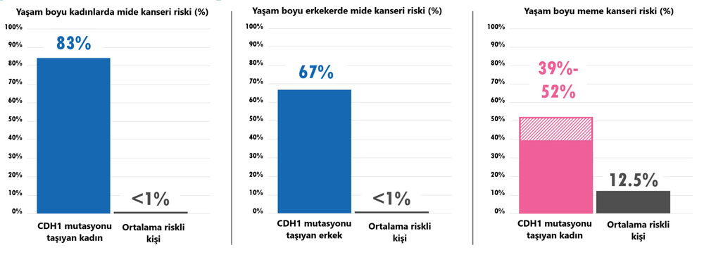 Um wie viel erhöht eine CDH1-Genmutation das Risiko für Magen- und Brustkrebs?