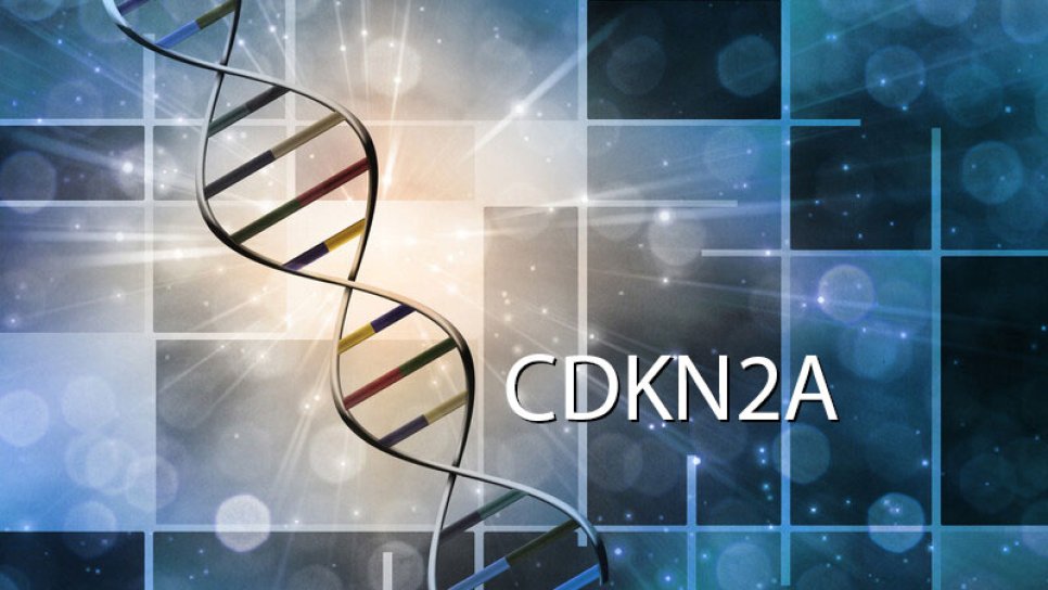 Was ist eine CDKN2A-Mutation? Wie hoch ist das Risiko für Melanom und Bauchspeicheldrüsenkrebs?