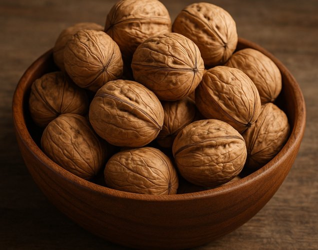 Ceviz Beyin Tümörlerine Karşı Koruyucu mu? Bilimsel Kanıtlar ve Gerçekler