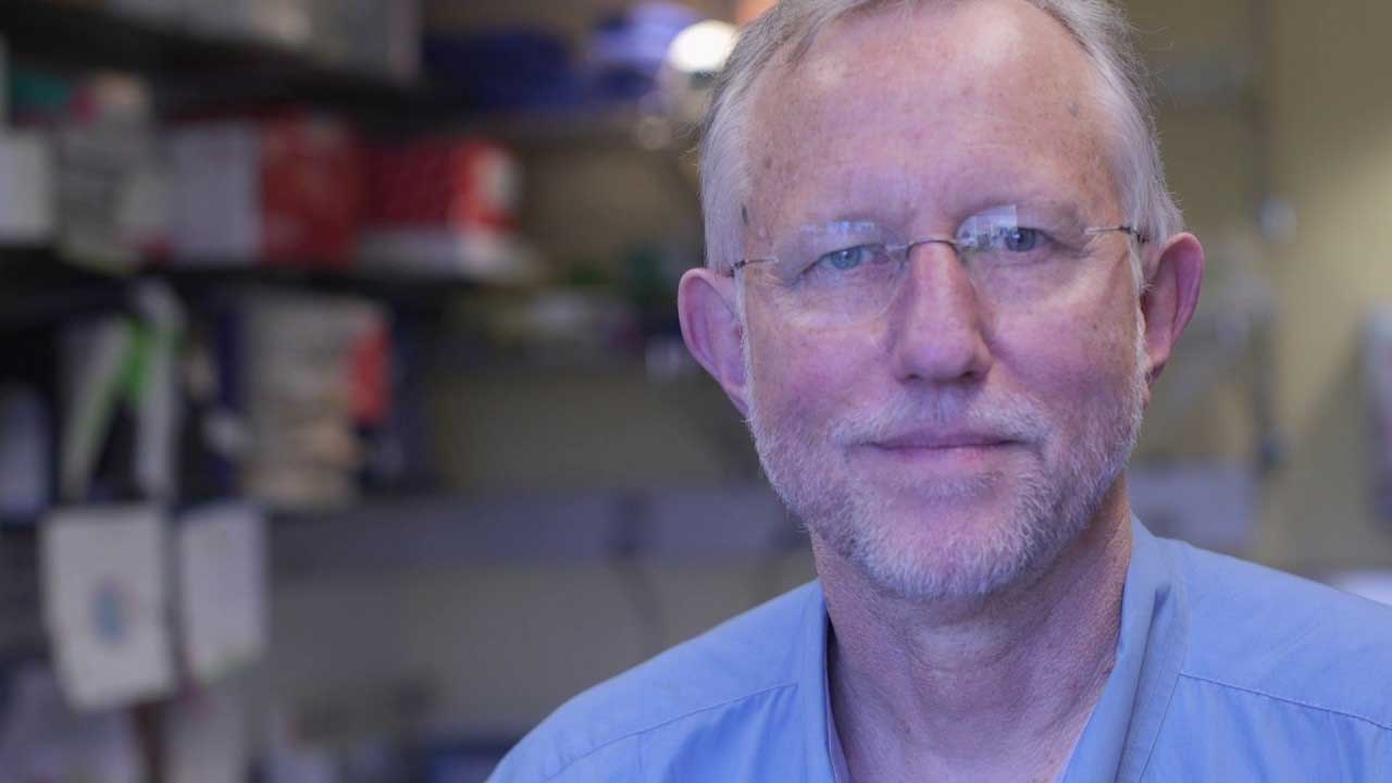 charles m rice nobel medicine 2020 final evidence that hepatitis c virus alone could cause hepatitis