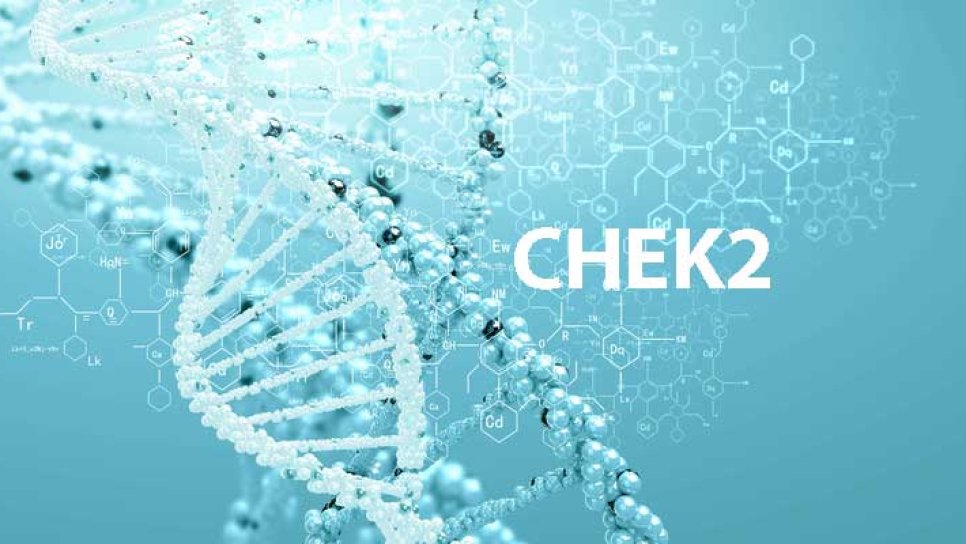 Was ist eine CHEK2-Genmutation? Was Sie wissen sollten